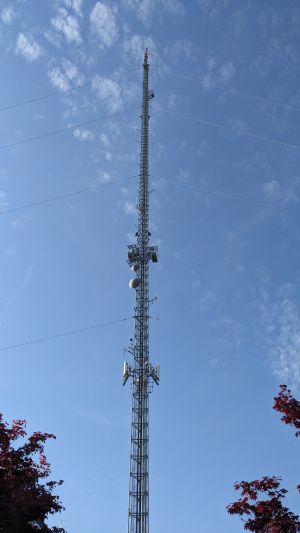 w8drz-wjw-tower